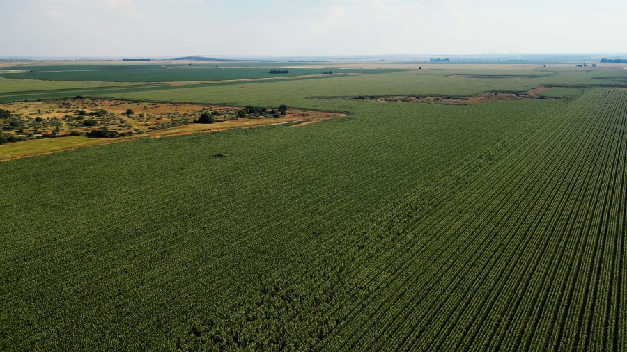 0 Bedroom Property for Sale in Hennenman Rural Free State